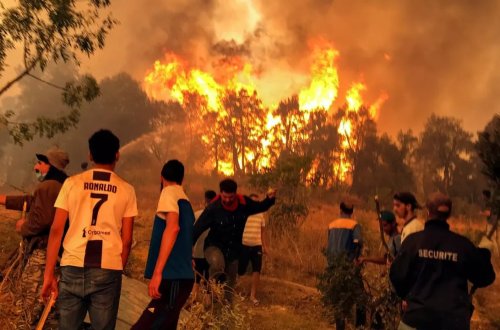 Əlcəzairdə bütün meşə yanğınları söndürülüb