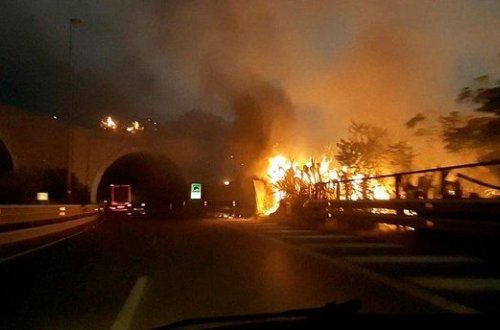 İtaliyada meşə yanğınlarında 4 nəfər ölüb