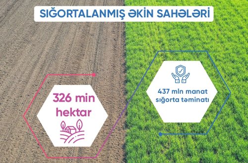 Aqrar Sığorta Fondu ilin ilk 6 ayı ərzində 326 min hektar əkin sahəsini sığortalayıb