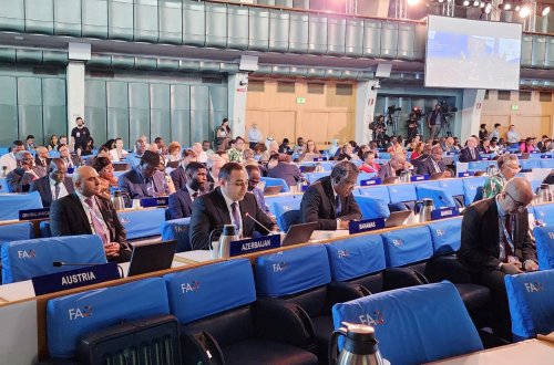 Nazir müavini İtaliyada BMT-nin Qida Sistemləri Sammiti çərçivəsində plenar iclasda və ECAM sammitində iştirak edib