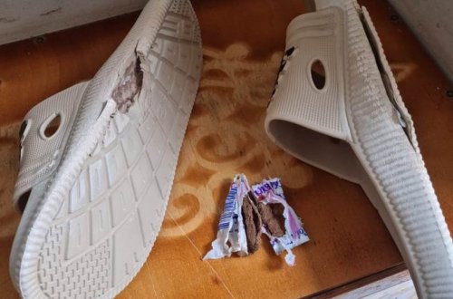 Həbsdə olan şəxsə sovqatın içərisində heroin keçirilməsinin qarşısı alınıb