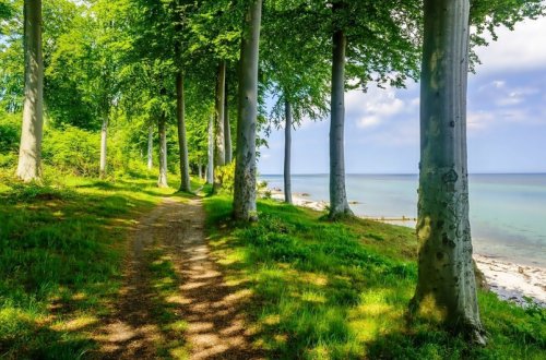 İstirahət günlərində milli parklarda gözlənilən hava şəraiti açıqlanıb