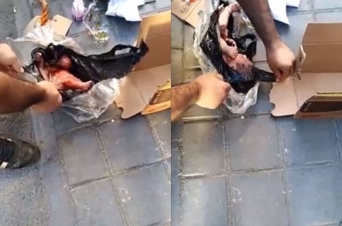 Tehranda zibil qutusuna atılmış körpə tapıldı: Dəhşətli görüntülər - VİDEO