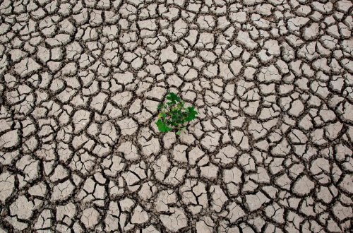 İspaniyanın bəzi bölgələrində quraqlıq səbəbindən fövqəladə vəziyyət elan edilib