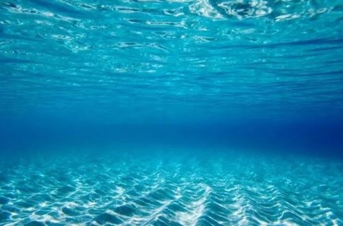 Okeanda temperatur rekordu qırılıb