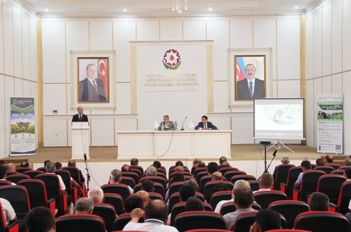 Göyçayda “Dayanıqlı fermer fəaliyyəti üçün aqrar sığorta” mövzusunda regional tədbir keçirilib