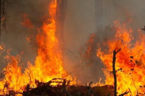 Rusiyada meşə yanğınlarını nəzarət altına almaq mümkün olmayıb