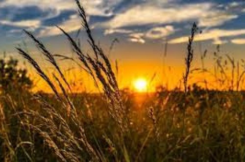 Azərbaycanda isti hava şəraiti avqustun ortalarına qədər davam edəcək