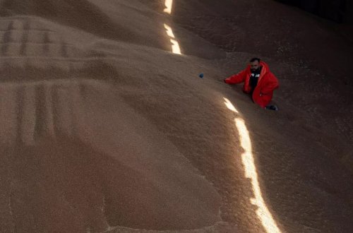 Ukraynanın taxıl ixracından əldə etdiyi gəlir yarıya düşüb