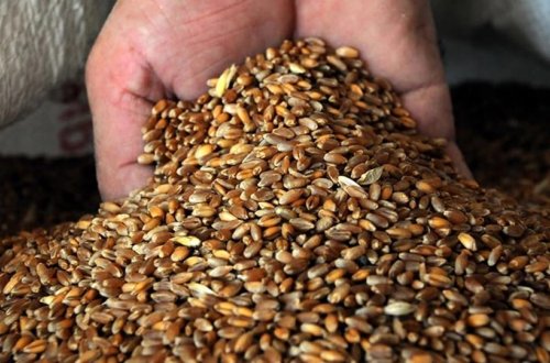 Fransanın La Roşel şəhərində buğda siloslarında yanğın baş verib