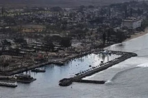 Havay adalarında ölənlərin sayı 55-ə çatıb