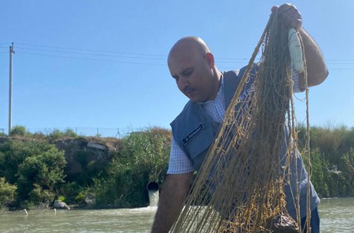 Qanunsuz balıq ovlayan şəxslər saxlanıldı - Fotolar