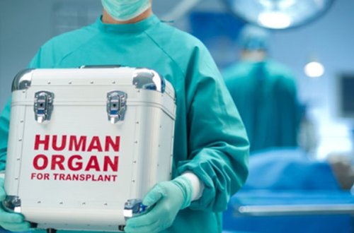 Qaraciyər, böyrək və sümük iliyi bu şərtlərlə transplantasiya olunacaq