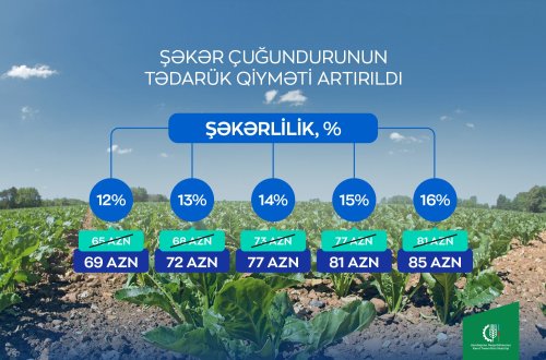 Fermerlərə müjdə: Şəkər çuğundurunun tədarük qiyməti artırılıb