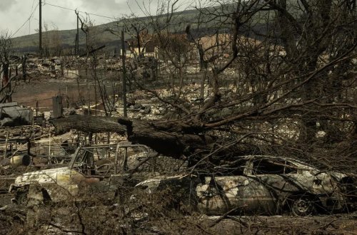 Havay adalarında baş verən yanğında ölənlərin sayı 106-ya çatıb