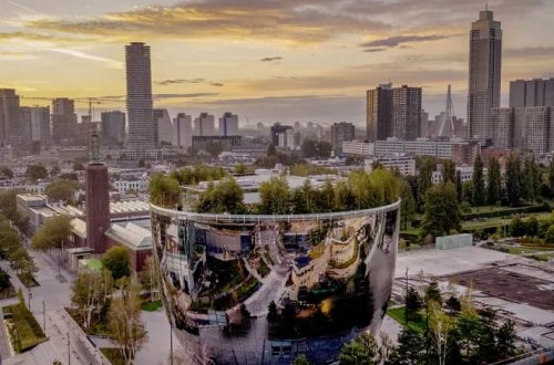 Hollandiya tənəzzülə uğrayıb