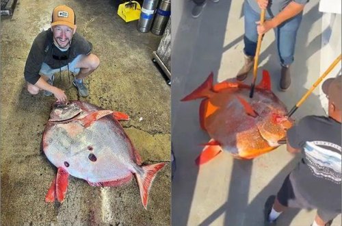 İlk dəfə balıq tutmağa getdi və dünya rekordunu qırdı - FOTO