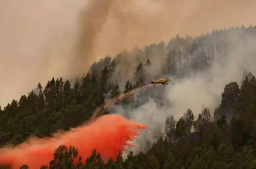 Tenerife adasında yanğın baş verib