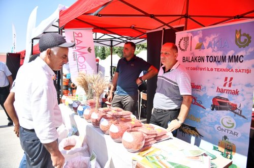 Şamaxıda növbəti toxum sərgi-satış yarmarkası keçirilib