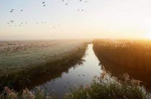 Qazaxıstanda 11 nəfər çayda batıb, 8-nin meyiti tapılıb