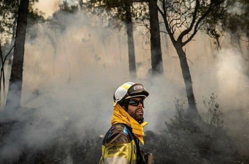 İspaniyanın Tenerife adasında meşə yanğını baş verib
