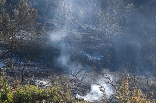 ABŞ-ın Vaşinqton ştatında meşə yanğınlarında 2 nəfər ölüb