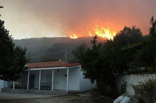 Tenerife meşə yanğınları davam edir