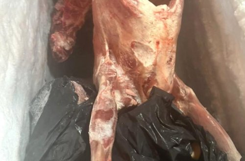 Ağcabədidə istehlaka yararsız ət aşkarlanıb