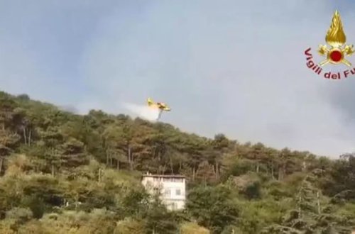 İtaliyanın iki bölgəsində meşə yanğını baş verib