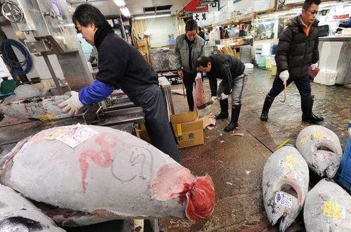 Çin Yaponiyadan bütün dəniz məhsulları idxalını dayandırıb