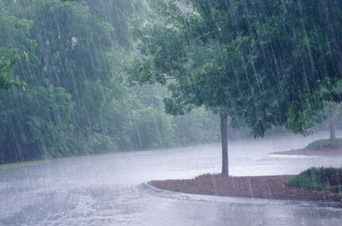 Sabah leysan yağacaq, şimşək çaxacaq