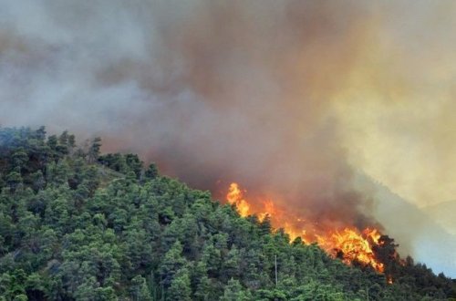 Şamaxıda dağlıq ərazidə yanğın olub
