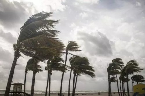 Florida İdalia qasırğasına hazırlaşır