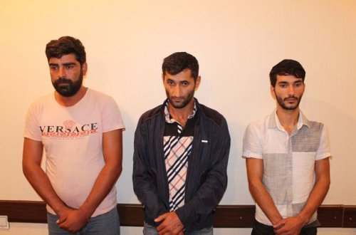 Oğuzda evlərdən 300 kiloqram fındıq oğurlayan şəxslər saxlanılıblar - VİDEO