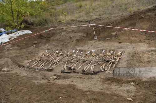 Xarici ölkə QHT-ləri Ermənistanı azərbaycanlı itkinlər barədə məlumat verməyə çağırdı
