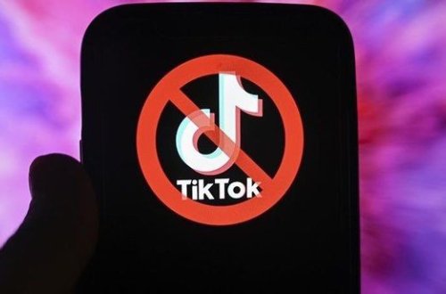 Qırğızıstan TikTok-a qadağa qoyulması barədə qərar verib