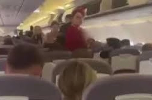 Təyyarədə  türk yeniyetməni öldürdüyü iddia edilən şübhəli tutulub