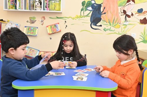 Bağçalara növbəyə yazılma müvəqqəti dayandırılıb