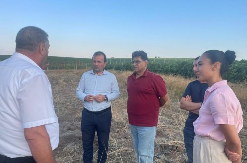 Kənd Təsərrüfatı Nazirliyi və FAO əməkdaşları fermerlərlə görüşlər keçiriblər