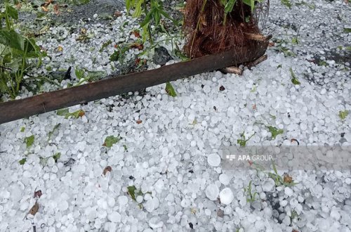 Zaqatalaya dolu düşüb, elektrik enerjisinin verilişində məhdudiyyətlər yaranıb - FOTO