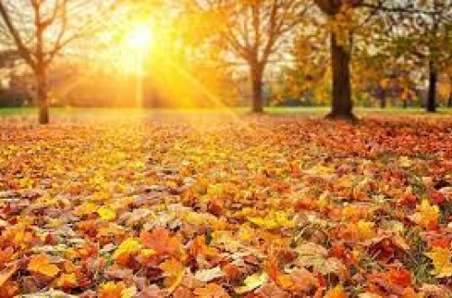 Payız fəslinin Azərbaycana daxil olacağı dəqiq vaxt açıqlanıb