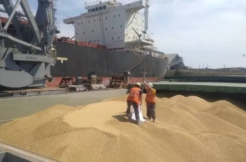 Ukrayna Xorvatiya üzərindən taxıl ixracına başlayıb