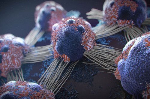 Xərçənglə mübarizə aparan viruslar aşkar edilib