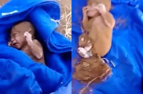 Liviyada palçıq qatının altından yeni doğulmuş körpə çıxarılıb - VİDEO