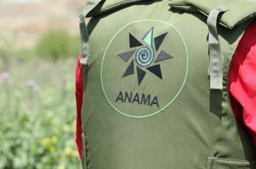 ANAMA-nın avtobusu Laçında qəzaya uğrayıb, 3 əməkdaş xəsarət alıb