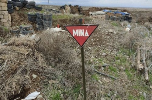 Mina qurbanları və Azərbaycan vətəndaş cəmiyyəti təmsilçiləri BMT-yə birgə müraciət ünvanlayıblar