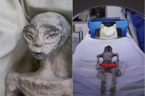 Meksikada tapılan yadplanetlilərin qalıqlarının rentgeni çəkildi - Sirr pərdəsi açılır - FOTO