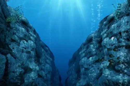 Yerin ən dərin nöqtəsində yeni virus aşkar edilib