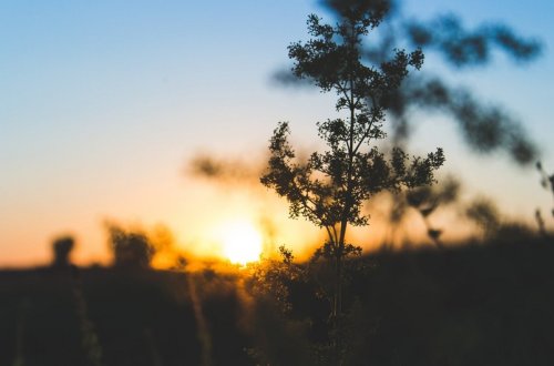 Şənbə gününün hava proqnozu açıqlanıb