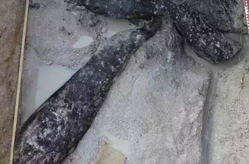 Zambiyada 500 min illik taxta konstruksiya tapıldı